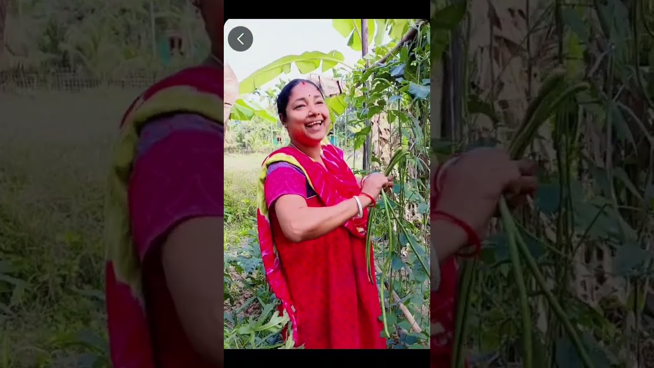 আমাদের সবজি বাগান