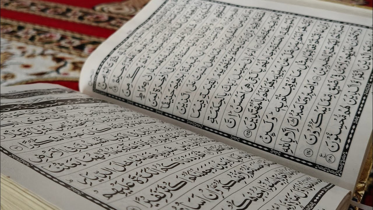 Shadabsabri999 is live