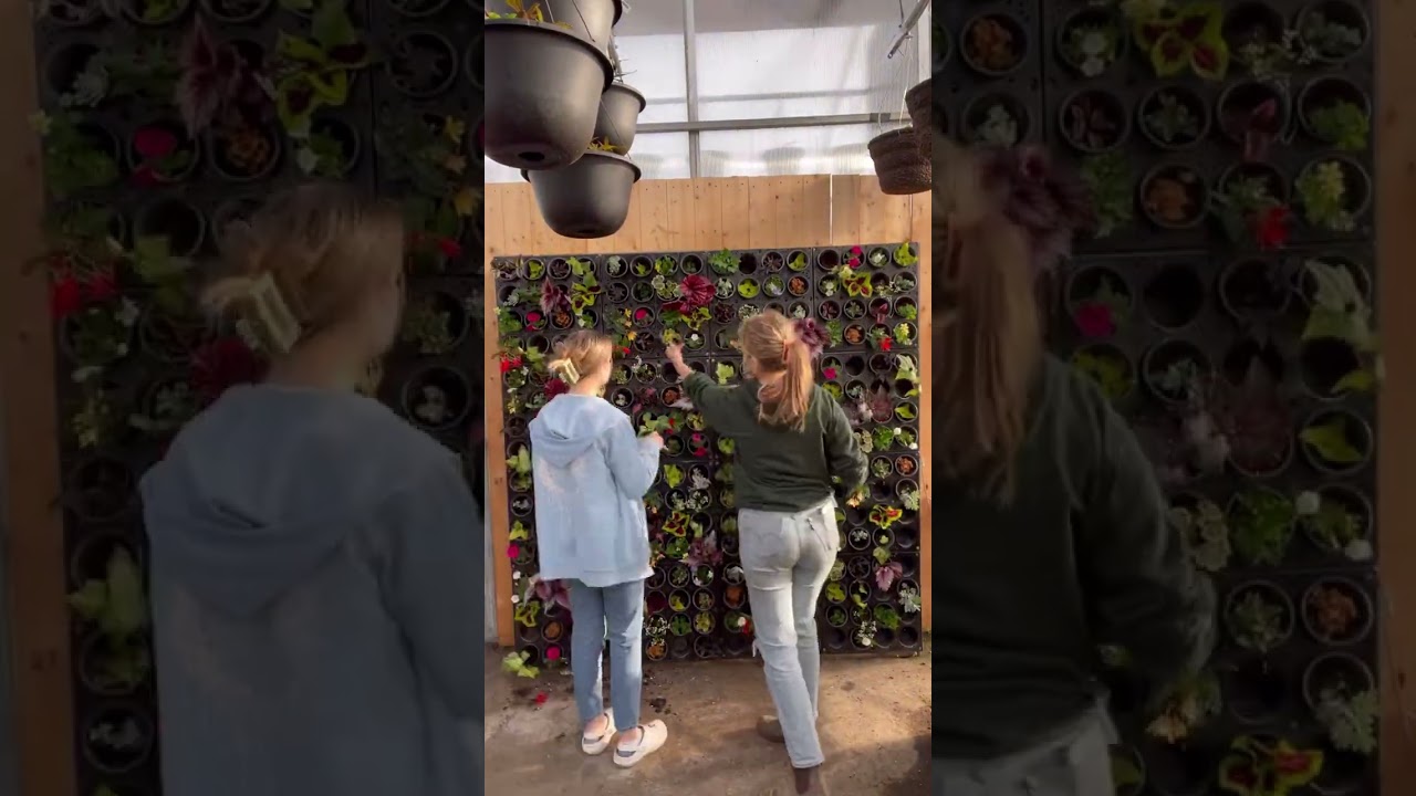 Planting the Living Wall Spring 2023