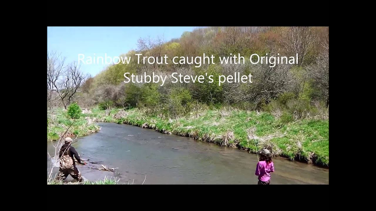 Rainbow trout caught using Stubby Steve's Original Brown Pellet