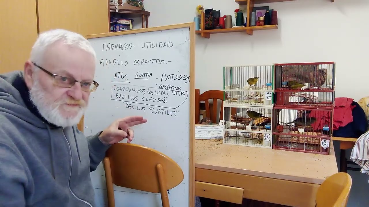 TRATAMIENTOS PREVENTIVOS me lo dijo 