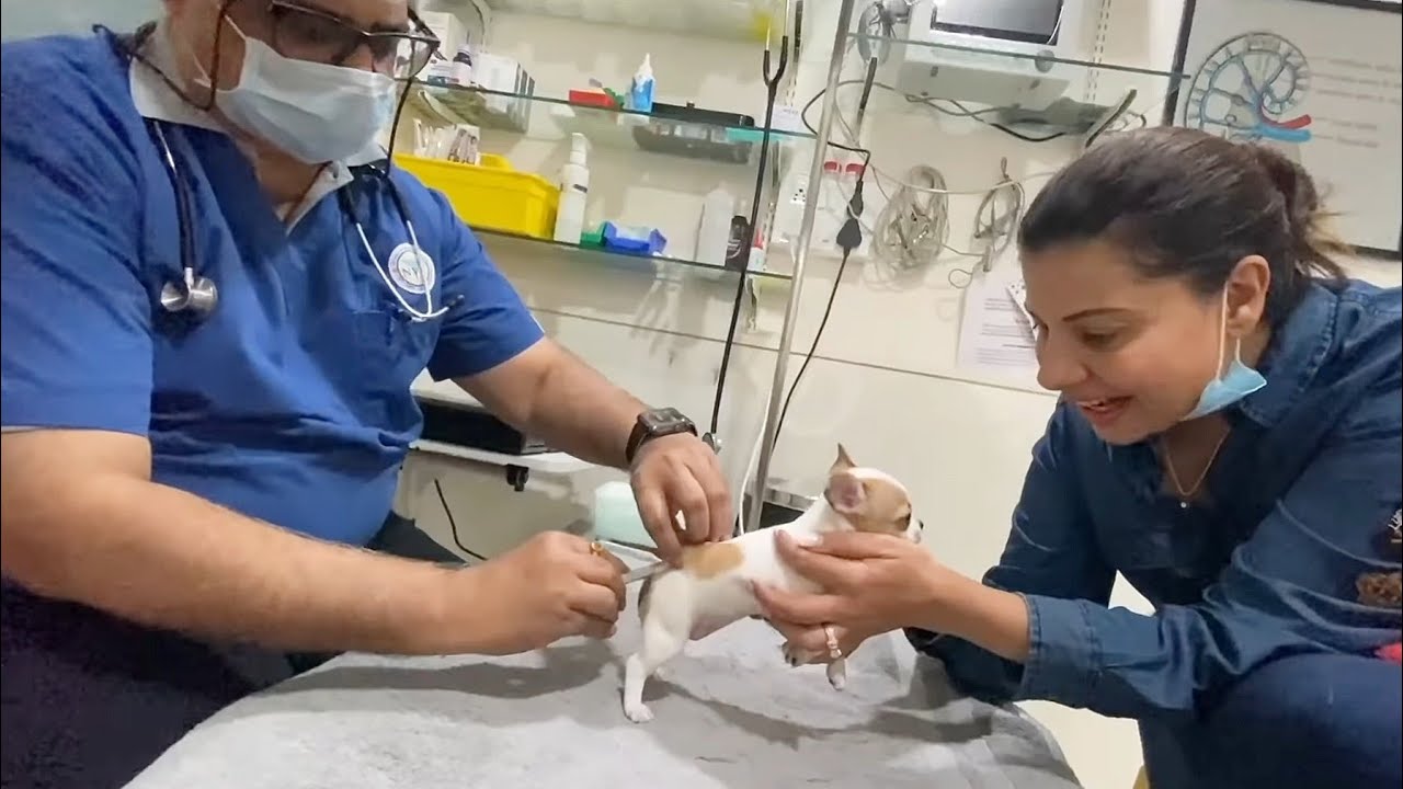 Chhunchhun First Vaccination💉 | Ss Vlogs :-)