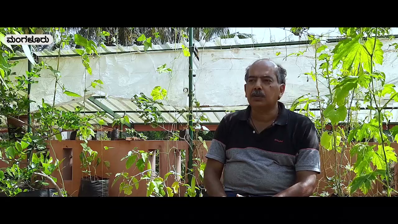 Blany dsouza terrace garden