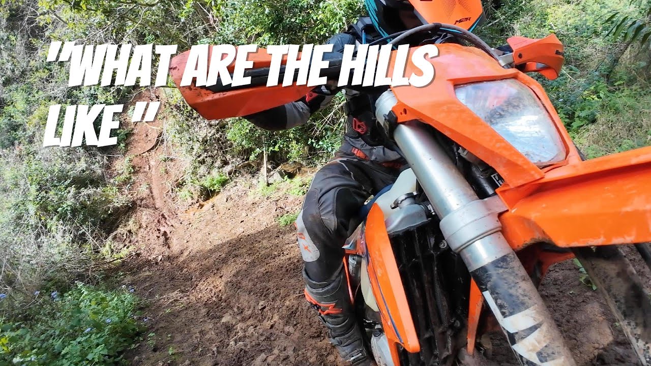 WHAT ARE THE HILLS LIKE | AMAMOOR EXPERIENCE