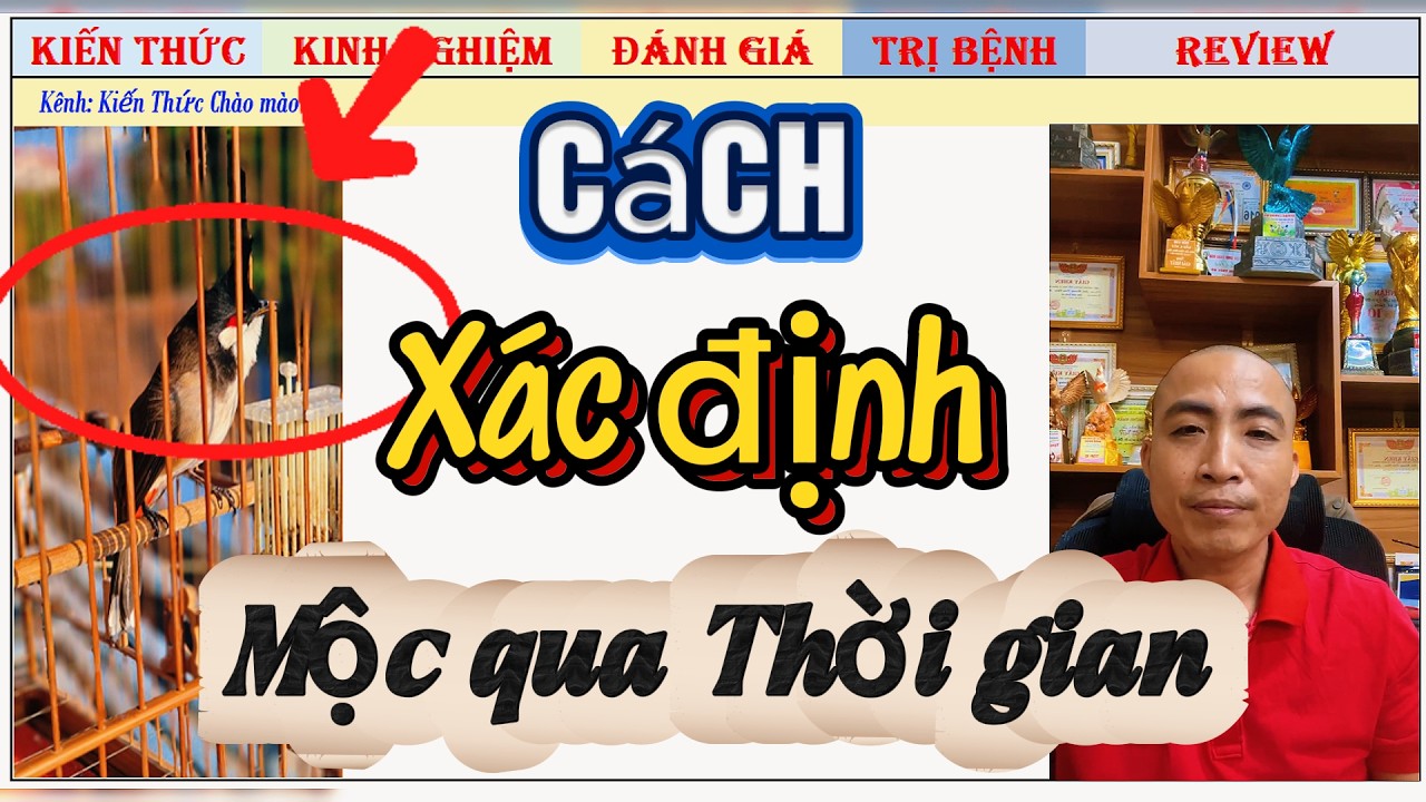 Phương pháp xác định Chim Mộc để Gọt chuẩn theo từng thời gian