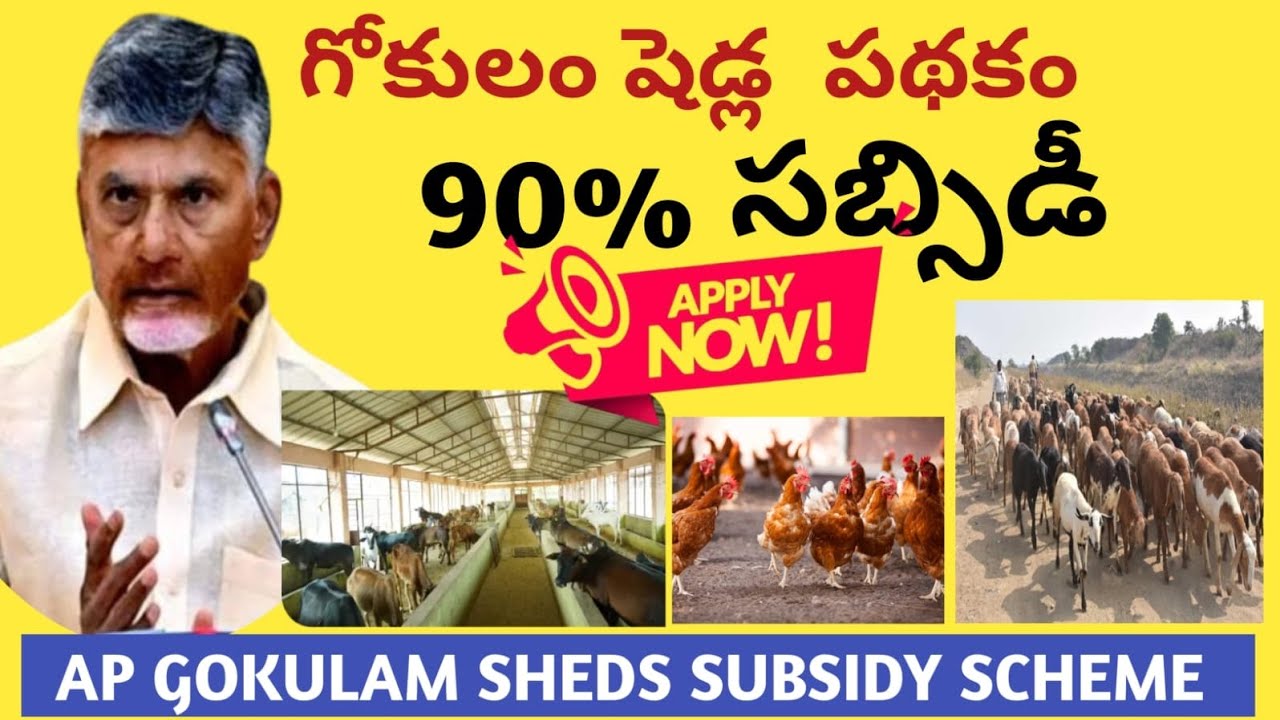 Gokulam scheme full details #ap gokulam scheme #ap government latest updates #apschemes 2025