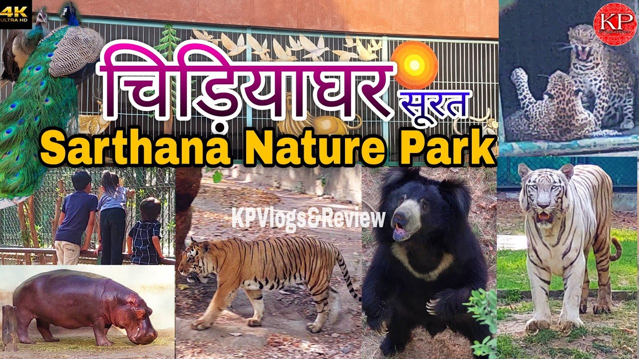 चिड़ियाघर सूरत | Sarthana Nature Park Surat | Surat Zoo | Sarthana Zoo | Complete Tour 2025 |
