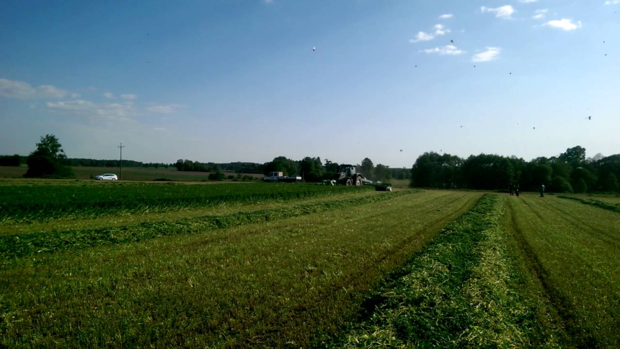 Nowy nabytek SaMASZ Giga Cut 941 WT w gospodarstwie rolnym Pana Bogdana