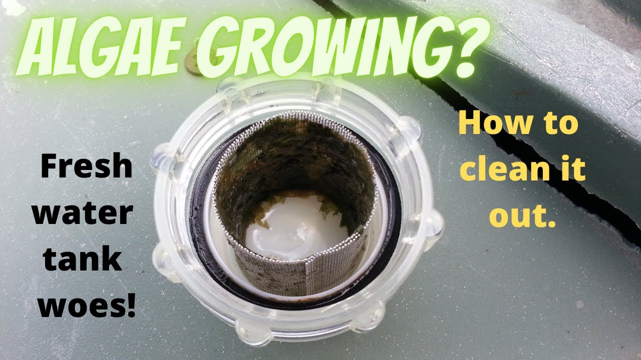 Algae in the water?  Low water pressure?  Sanitize and clean the fresh water tank!  Tips included.