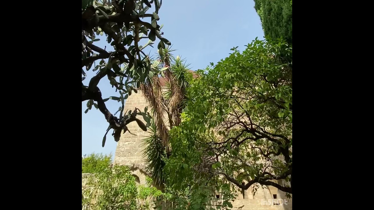 San Giovanni degli Eremiti (Video Completo)