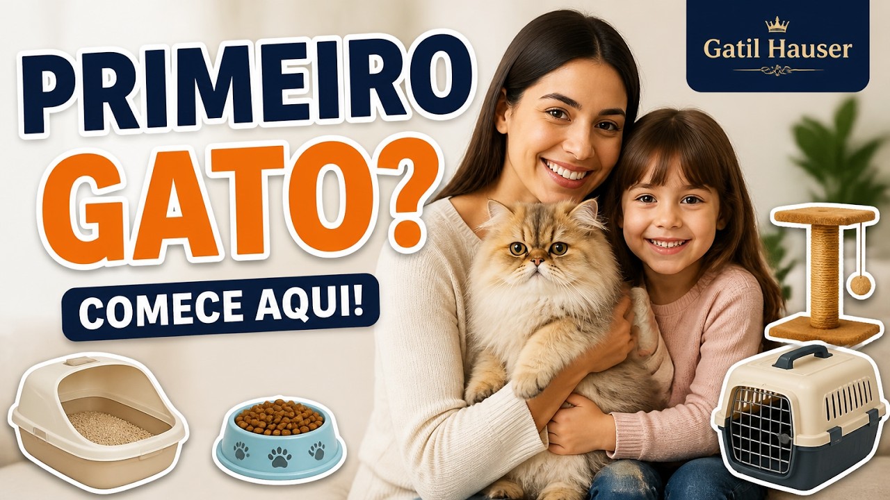 COMO CUIDAR DE GATO? - Gatil Hauser