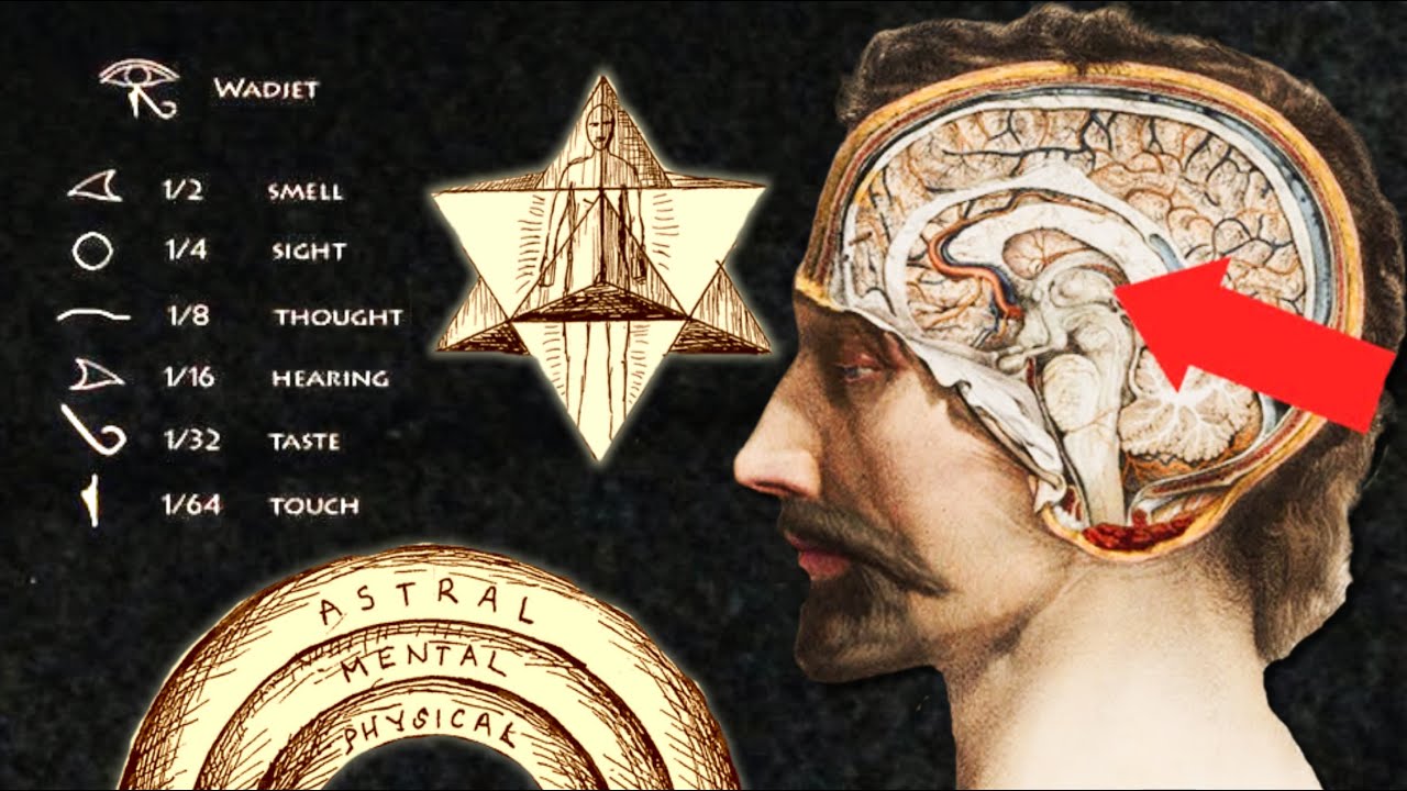 Quantum Mysticism: Decoding the Universe's Arcane Connections