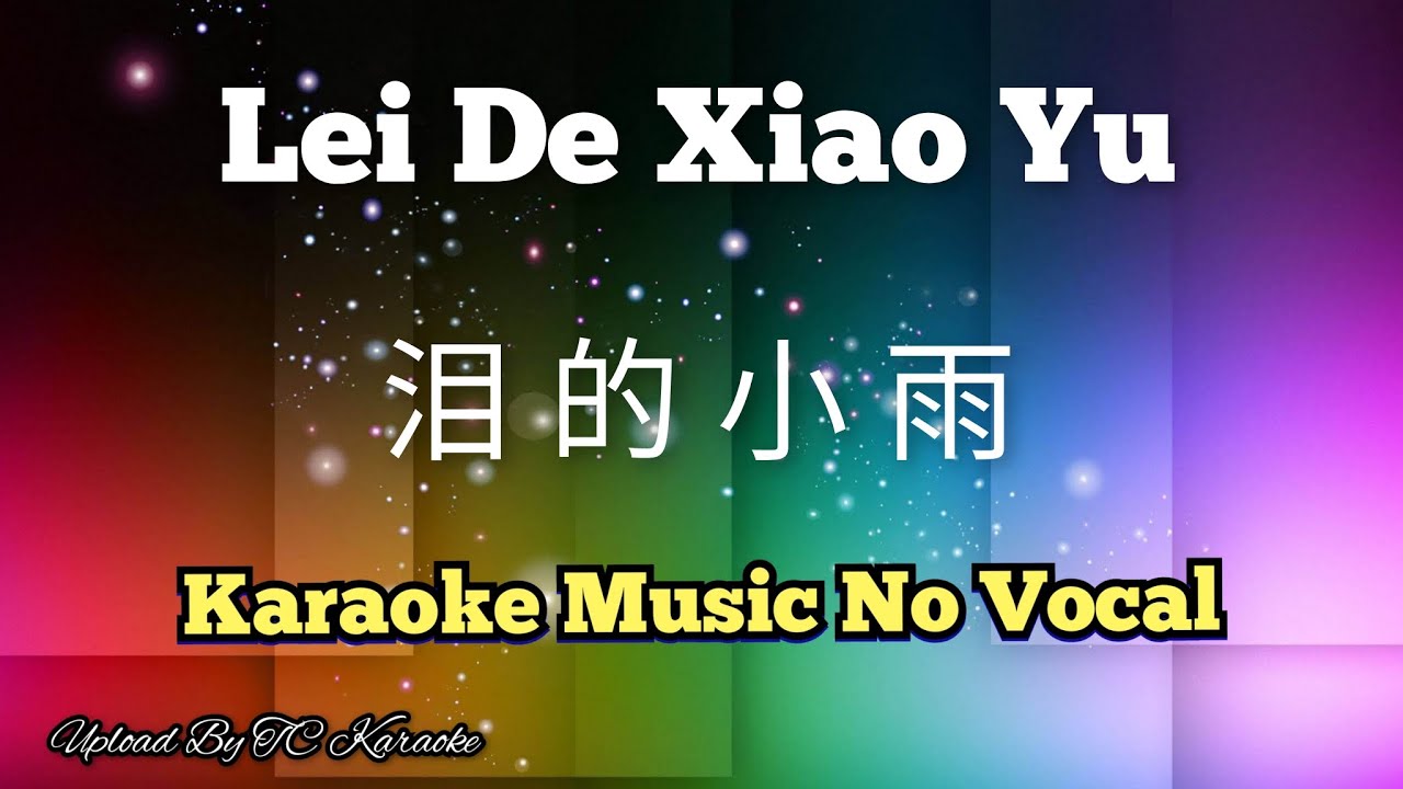 Lei De Xiao Yu 泪的小雨 / 涙的小雨 karaoke no vocal