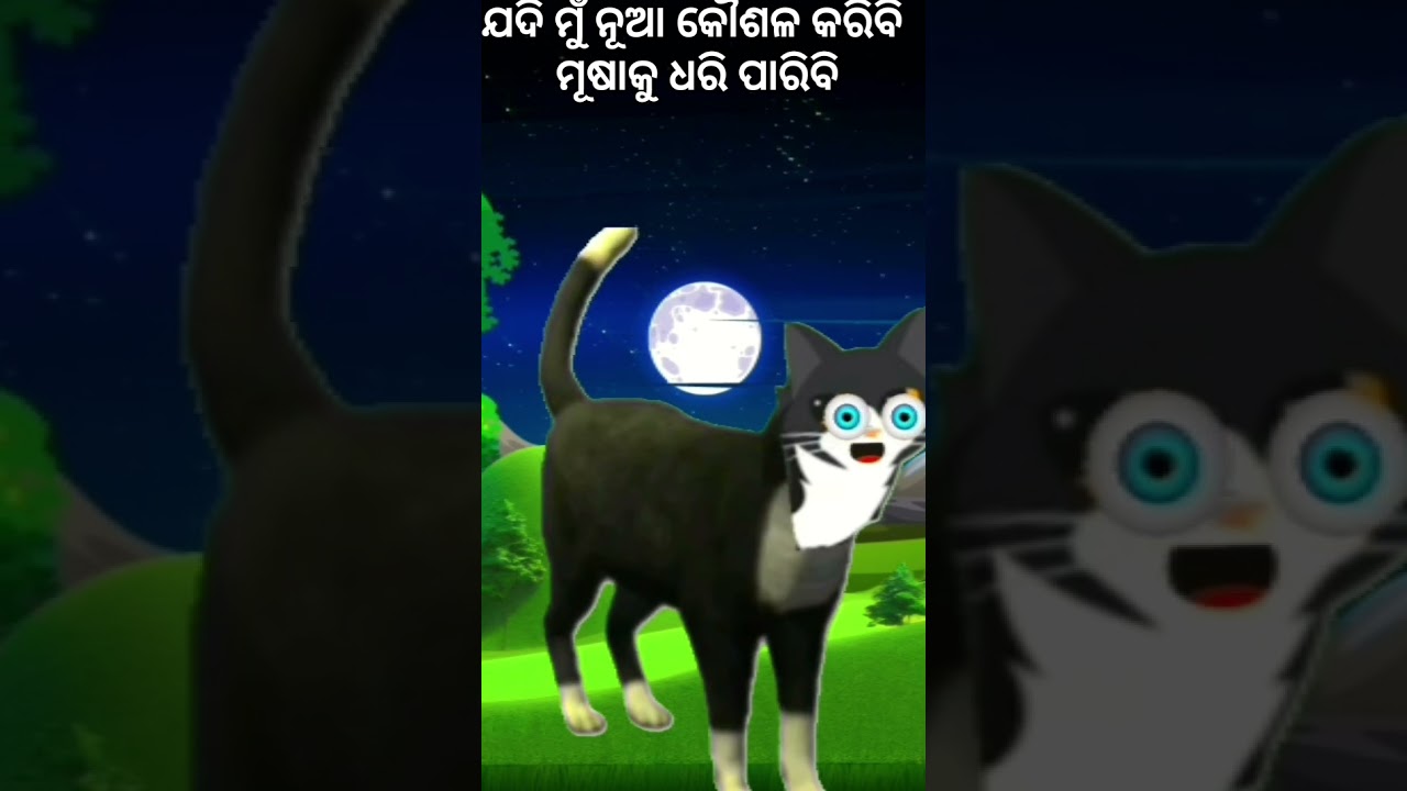 ଯଦି ମୁଁ ନୂଆ କୌଶଳ କରିବି ମୂଷାକୁ ଧରି ପାରିବି । ମୂଷାର ପ୍ରବୃତ୍ତି ମାର୍ଗ ଦର୍ଶନ କରିବ ।ମୂଷାର ବିଲେଇକୁ ପରିହାସ