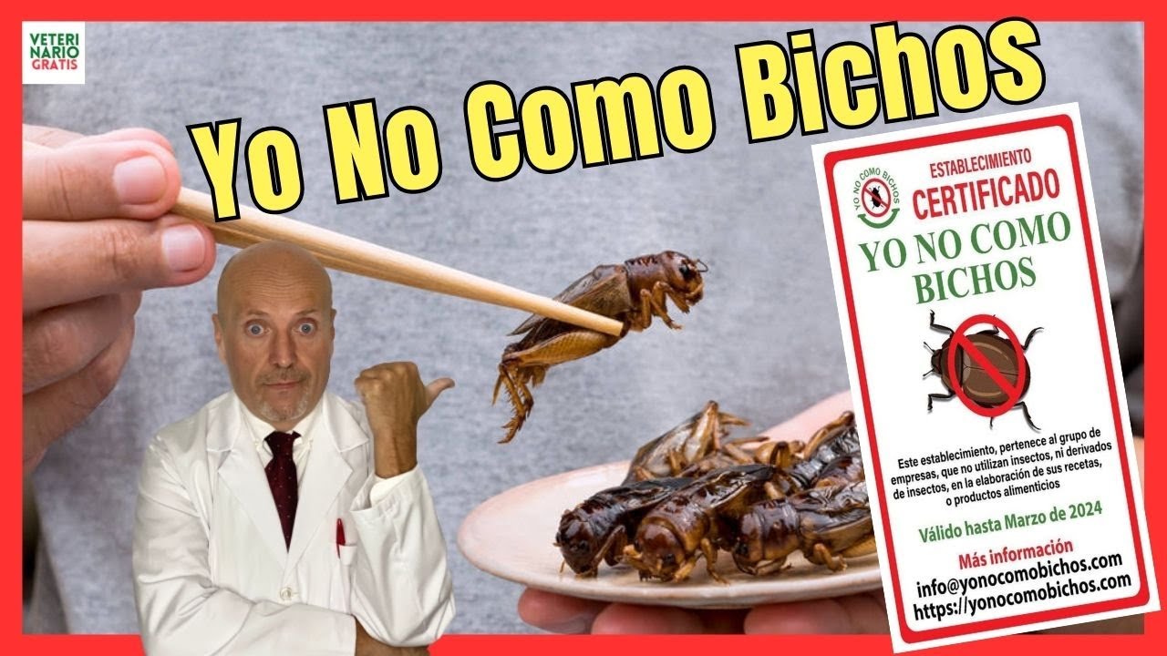 🆘 TU DECIDES: COMER O NO COMER INSECTOS 👉👉 CONOCE "YO NO COMO BICHOS" 🆘