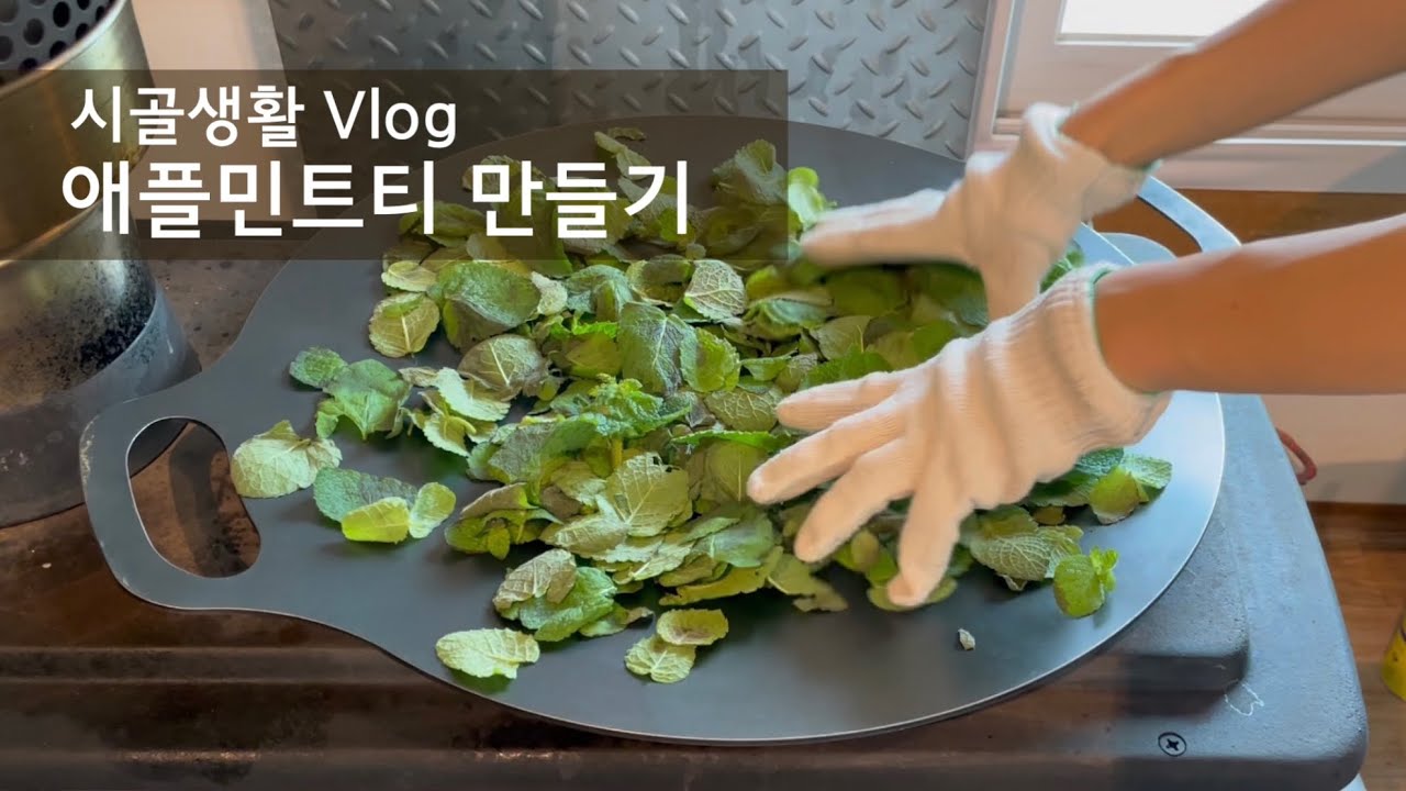 [시골집Vlog] 애플민트 티 만들기 I 허브차 I 애플민트 I 차덖는법 I 유기농 I 직장인 주말 귀촌