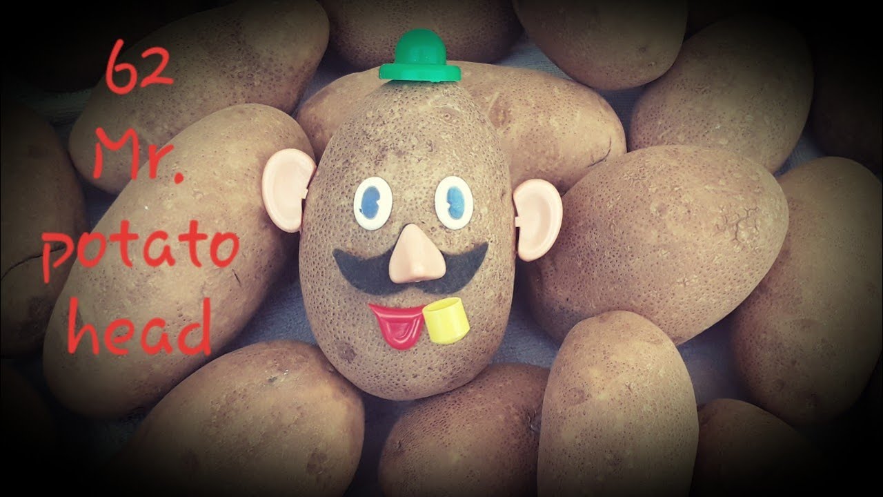 1962 mr. Potato head review