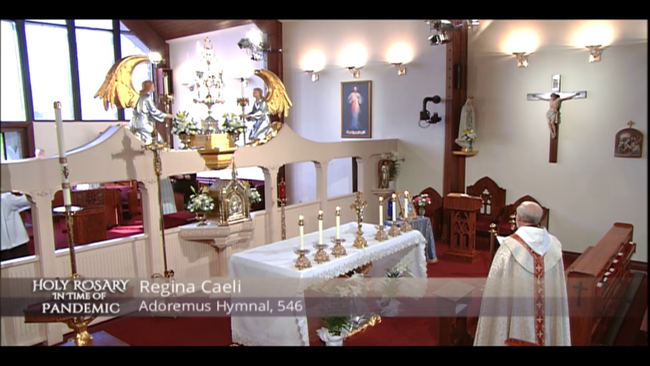 Священный Розарий во время пандемии — на EWTN