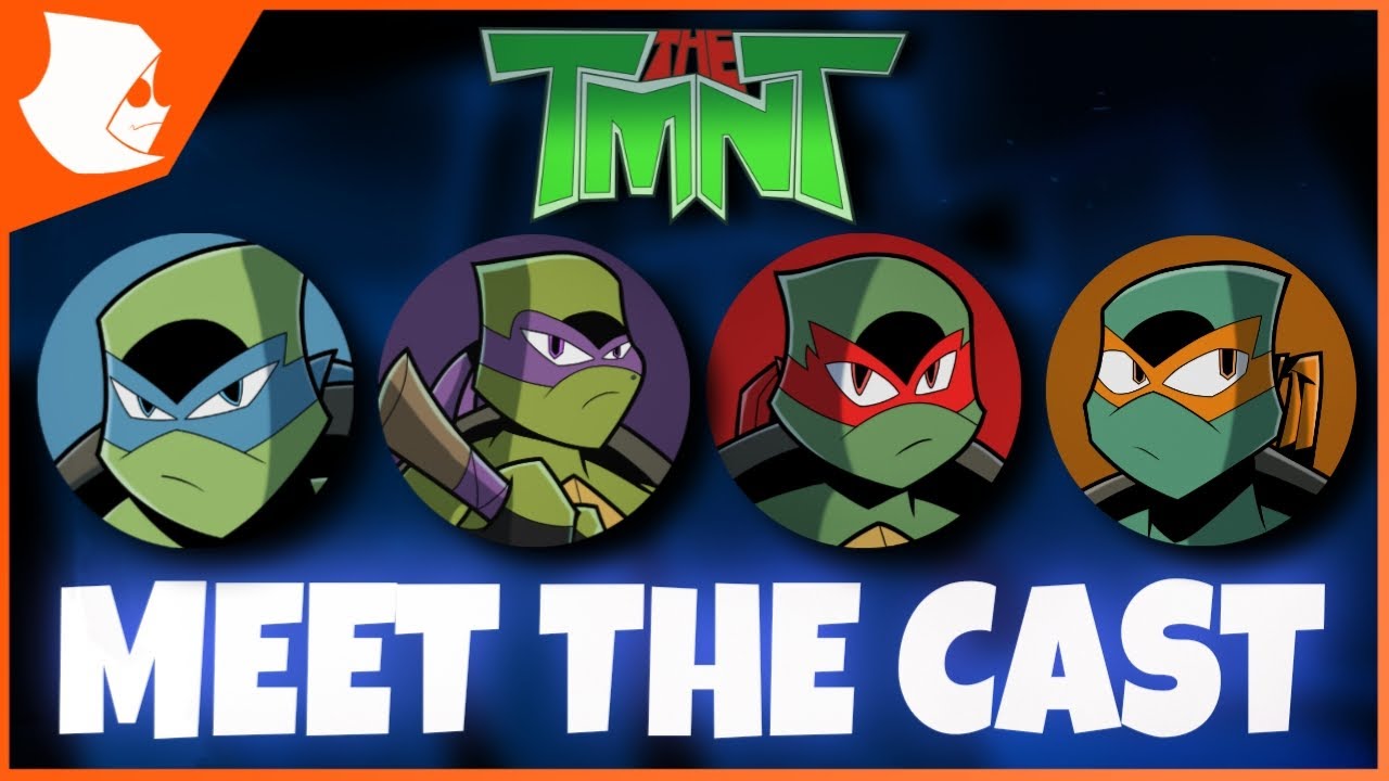 THE TMNT FAN FILM / SERIES CAST Q&A!  | Meet The Cast! [PART ONE]