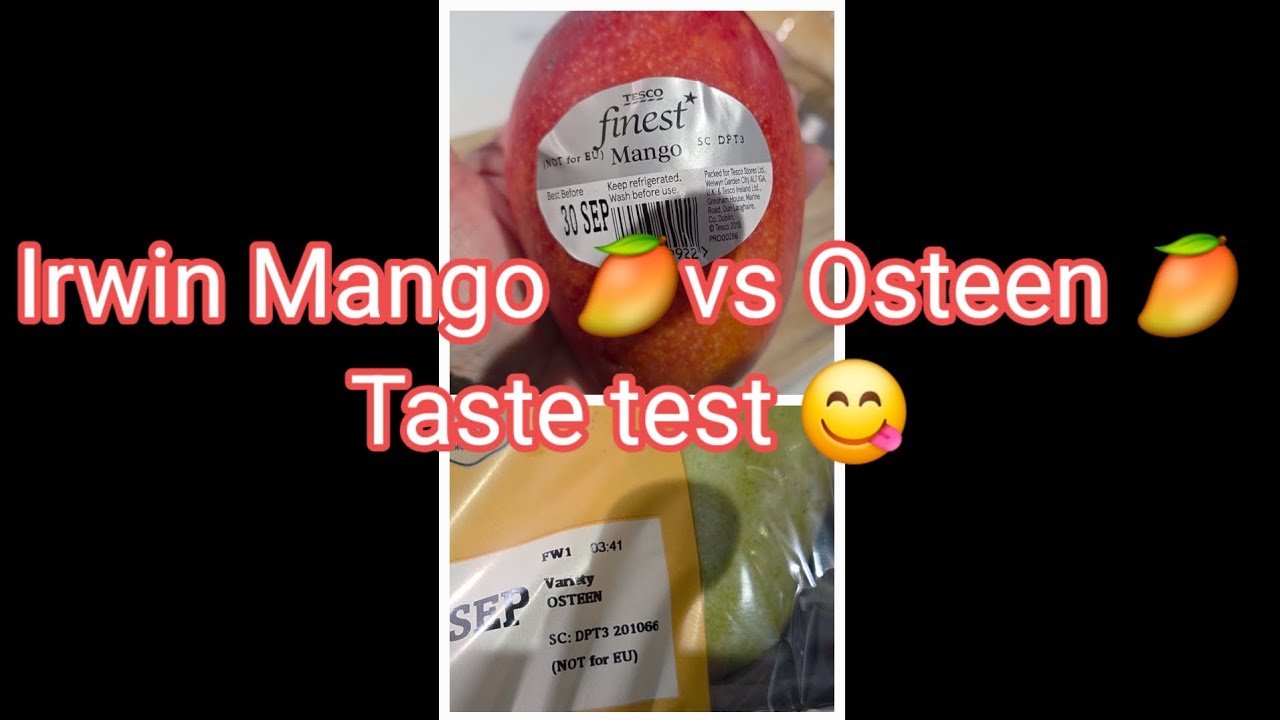 IRWIN MANGO🥭 vs OSTEEN MANGO🥭 TASTE TEST 😋 