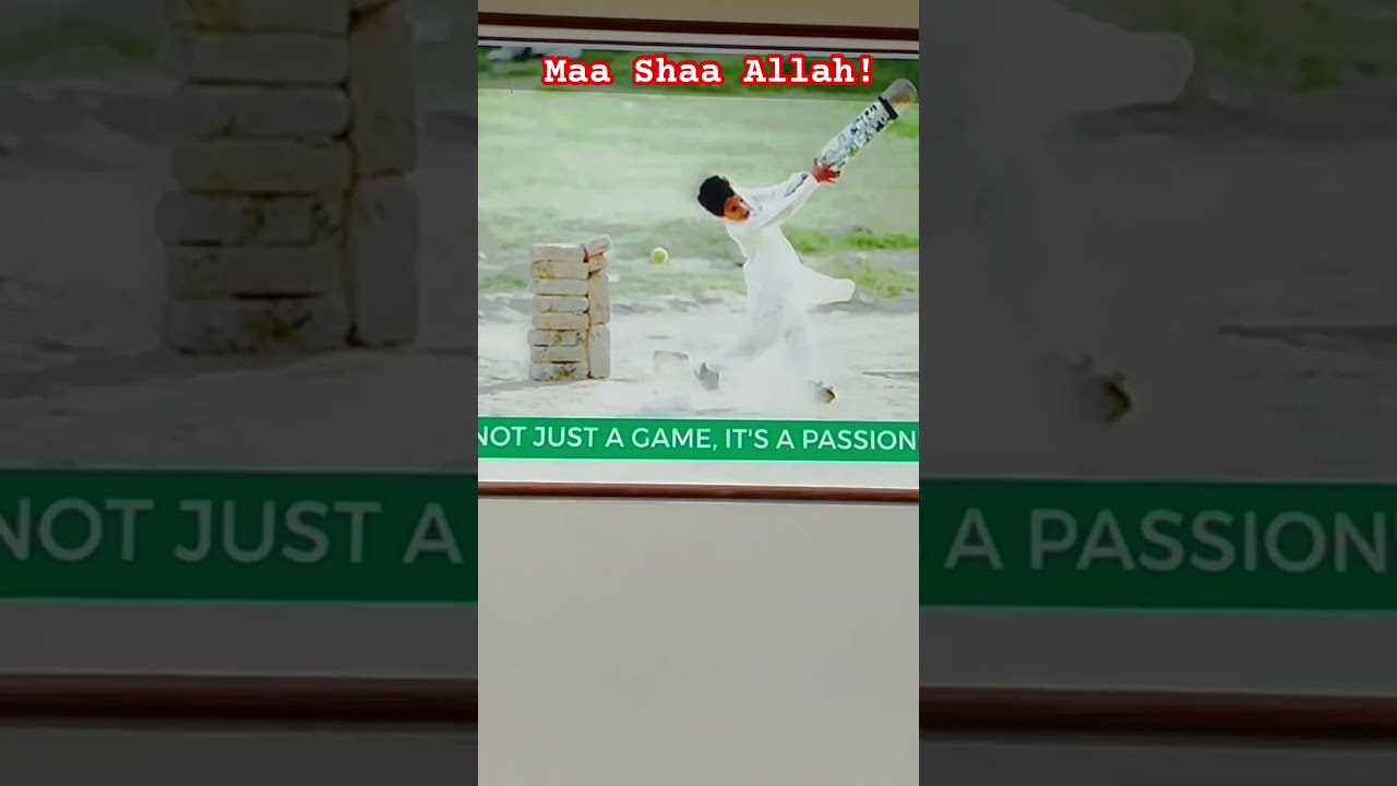 Officiall channel of BRCA #pcb #cricket #shorts #bahawalpur #region #cricketlover #cricketnews