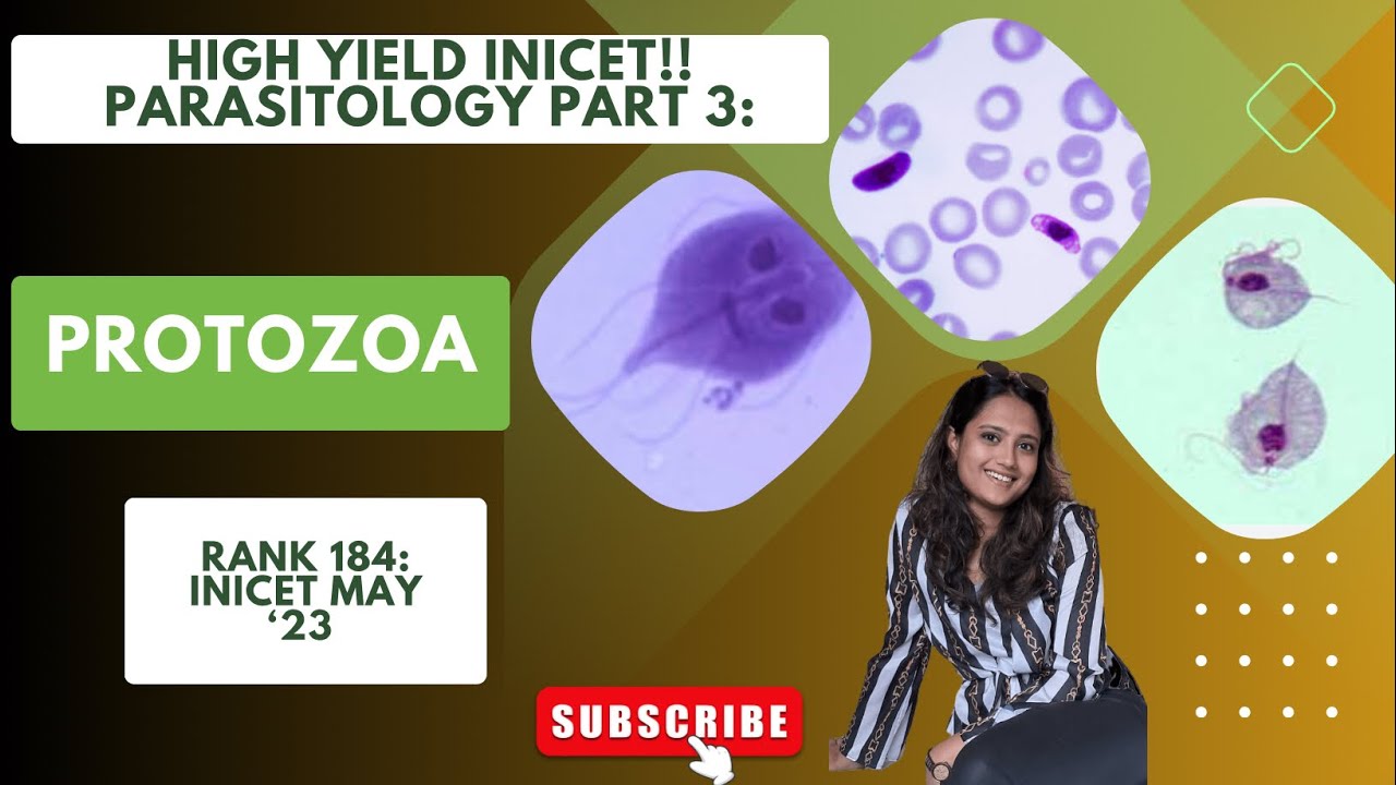 High yield topic for INICET Nov| NEETPG ‘24: Protozoa (Integrated Parasito)/ By AIR 184!