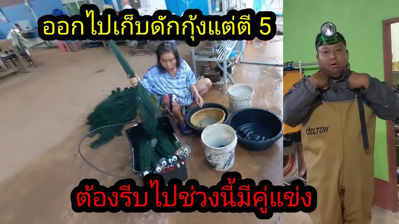 ตื่นแต่เช้ามืดรีบไปเก็บดักกุ้ง!!ตอนนี้มีคู่แข่งแล้ว#จิตอาสา 