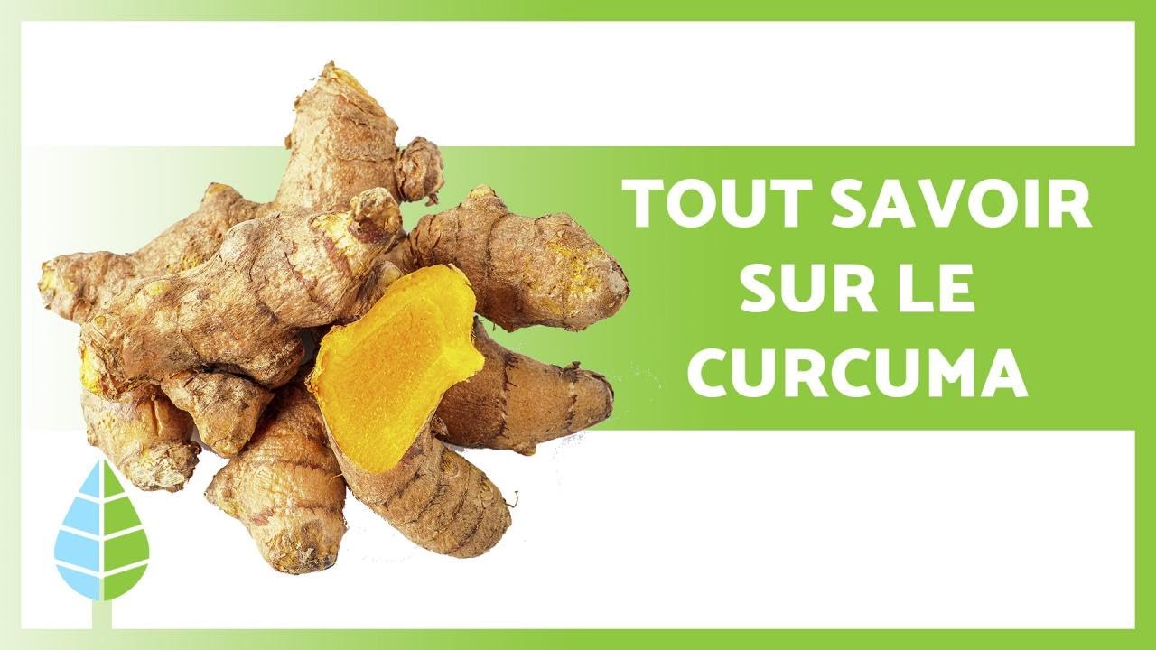 CURCUMA : Propri&eacute;t&eacute;s, AVANTAGES et utilisation 🧡 🌱