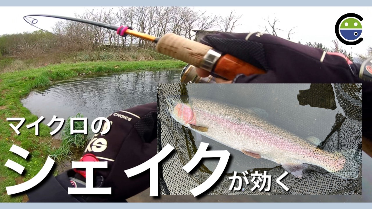 大物連発✨スプーンのシェイクがデカマスに効く【エリアトラウト】【管理釣り場】【ユーランド清水川】
