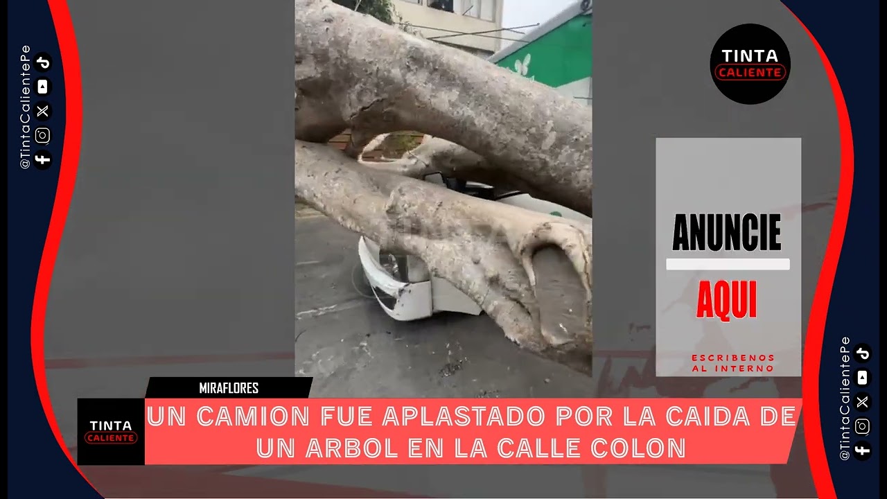 ARBOL APLASTA A CAMION EN MIRAFLORES -LIMA