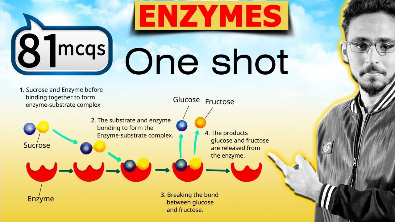 Enzymes | 81 MCQs Explained | QCA Test (3rd) | MDCAT Biology Preparation