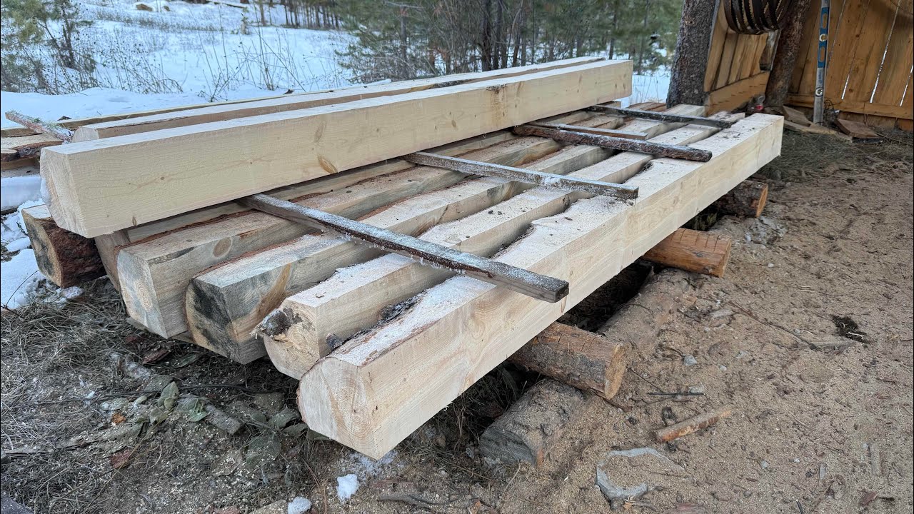 Starting my summer project!! #offgrid #logcabin 