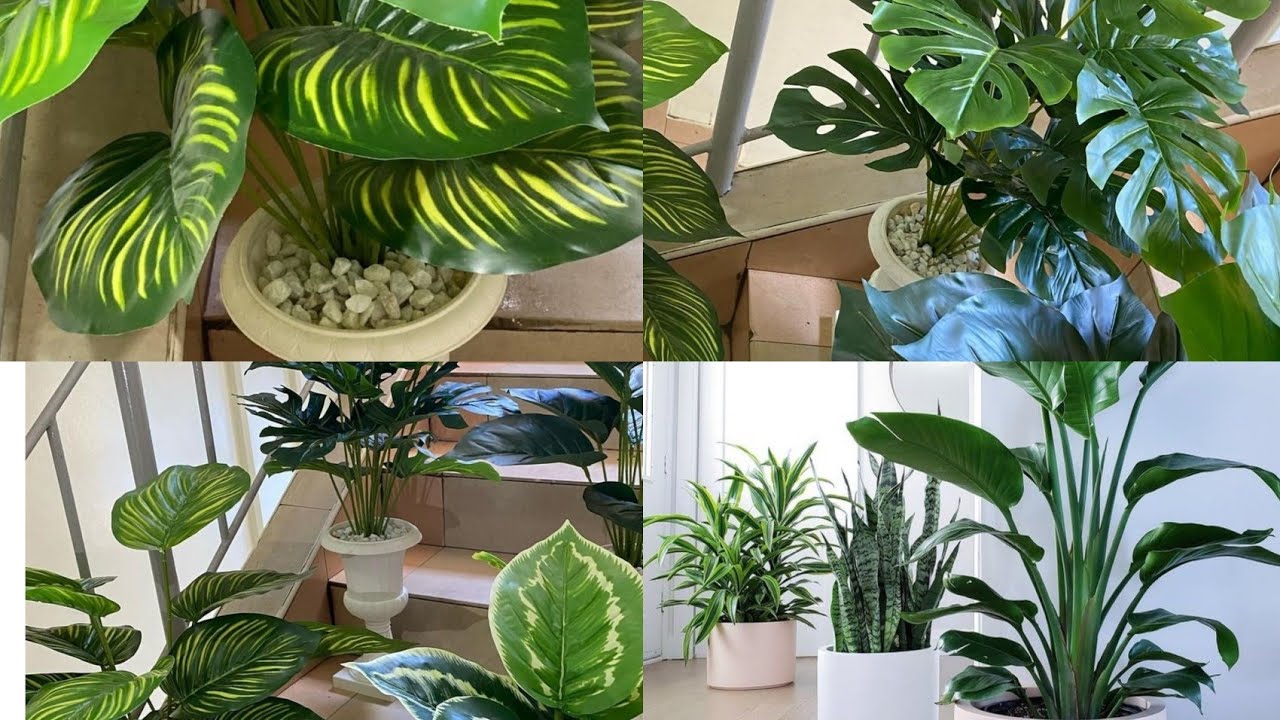 AFFORDABLE  DECOR ITEMS IN NAIROBI KENYA/DECOR KENYA  ARTIFICIAL PLANTS /FAUX PLANTS IN KENYA /VASES