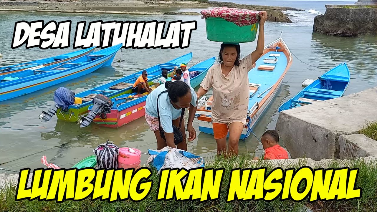 Lumbung Ikan Nasional di Maluku || Desa Latuhalat (@HamzahHamiz )