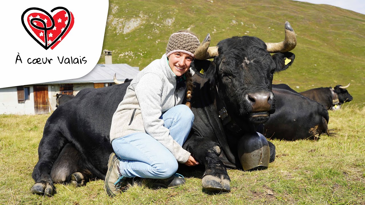Marielle, 16 ans, la race d’Hérens depuis toute gamine! - À cœur Valais Ep2