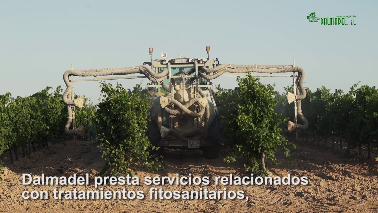 Dalmadel Servicios de viticultura