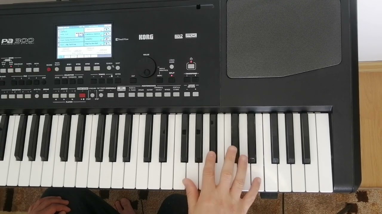TUTORIAL INCEPATORI SARBA 1