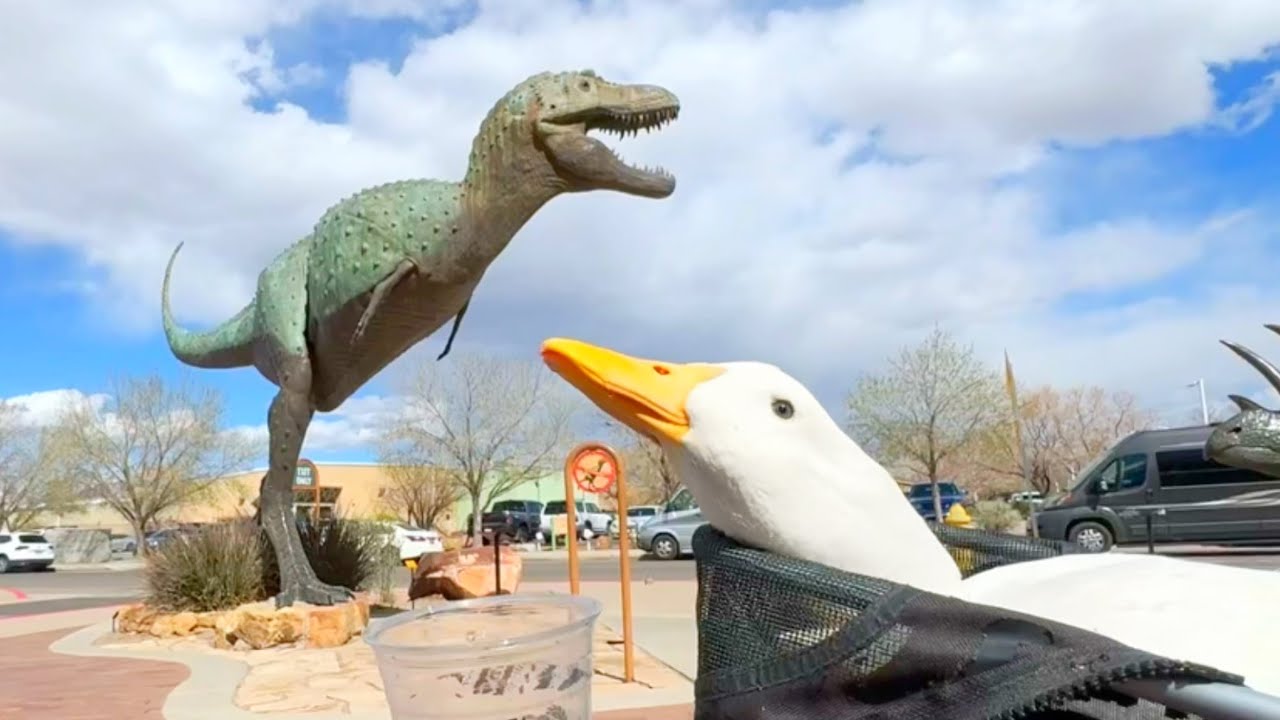 I took my duck to The Natural History Museum