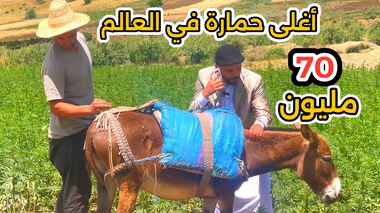 ضحك