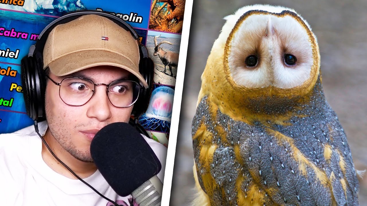 Iceberg de Animales con Superpoderes / Reaccion de CristianGhost