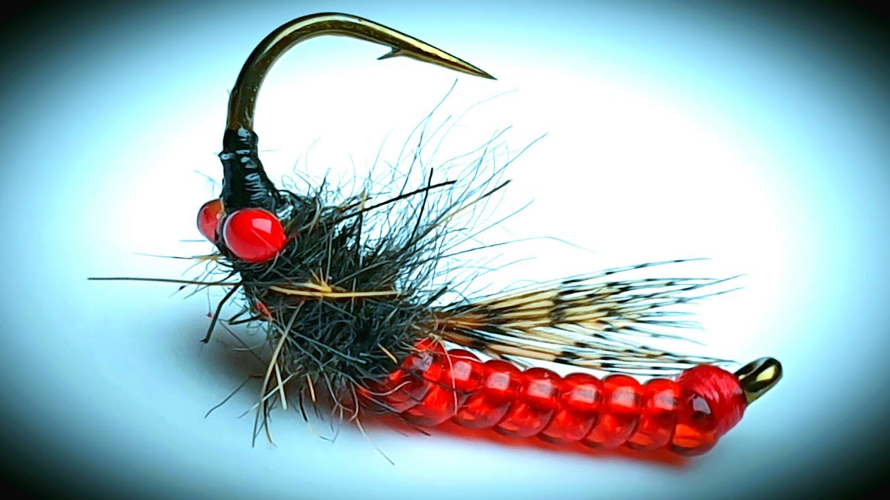 Nymph Rib Mosquito