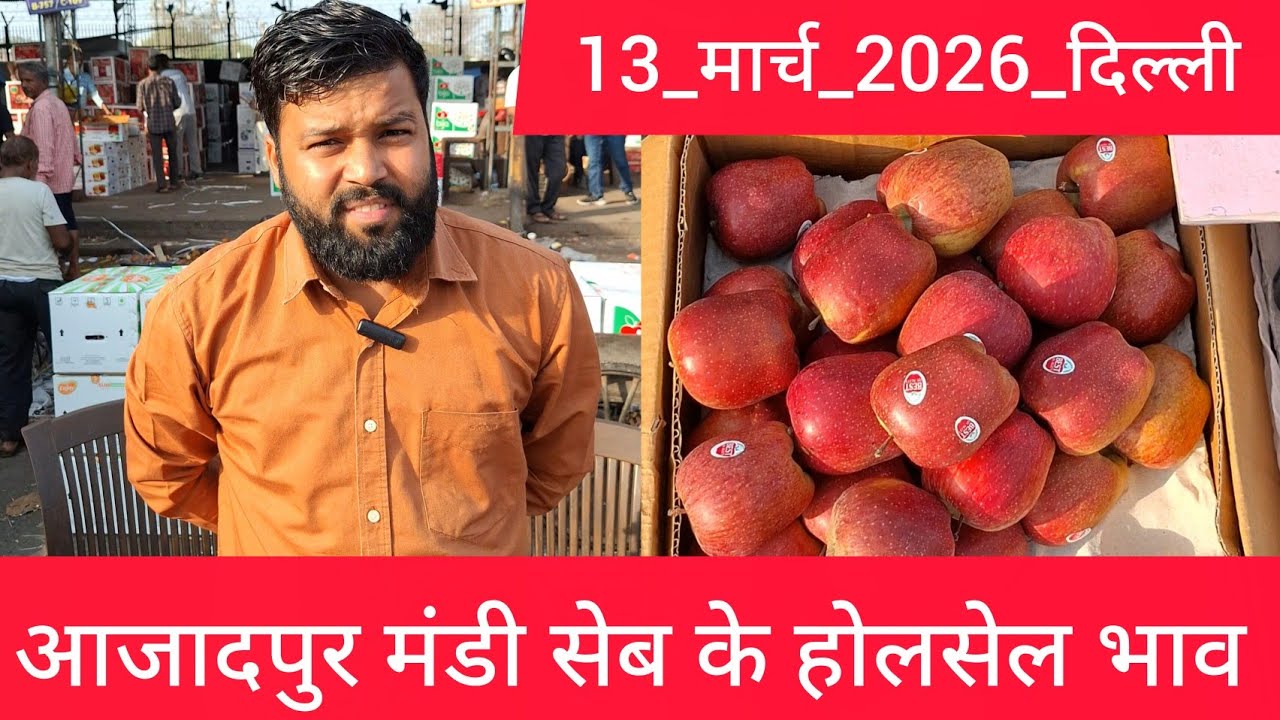 13 March 2026 दिल्ली कश्मीर सेब भाव delhi Kashmir apple market price delhi apple market #applemarket