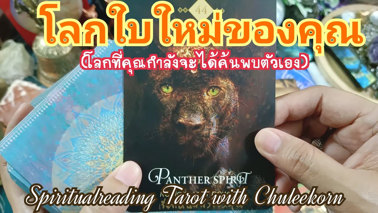 🌈✨โลกใบใหม่ของคุณ(โลกที่คุณกำลังจะได้ค้นพบตัวเอง)✨#ไพ่ทาโรต์ #ไพ่ยิปซี #ดูดวงไพ่ยิปซี#ดูดวงไพ่ทาโรต์