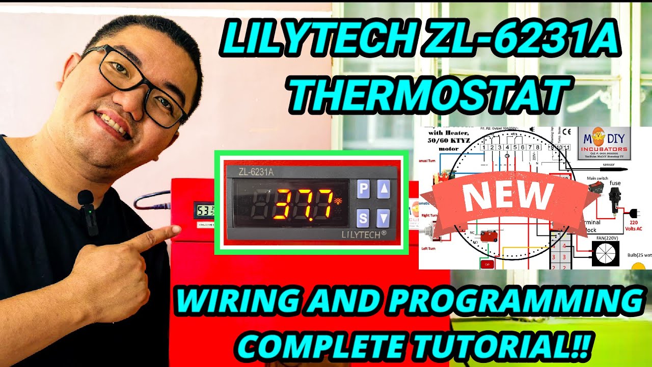 How to Wire Automatic Egg Incubator Step by Step/Lilytech ZL-6231A Full Wiring and Program Tutorial