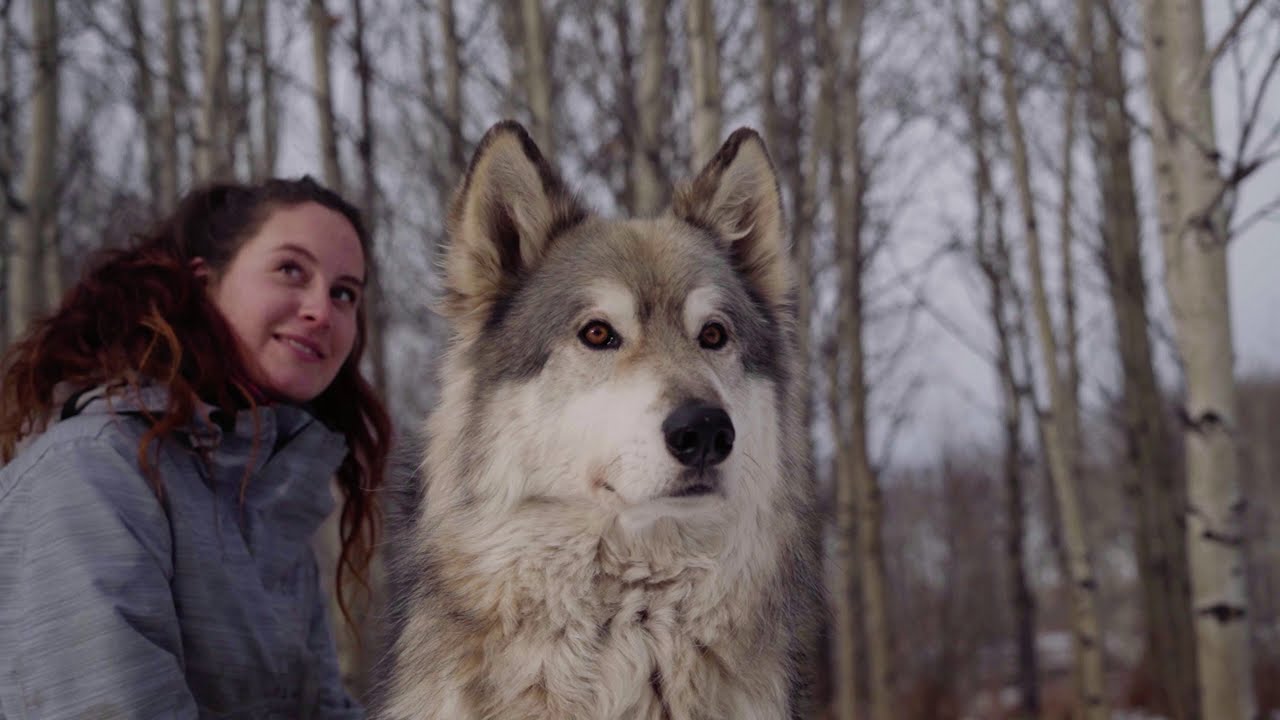 From Alone to Home: Micro-Documentary
