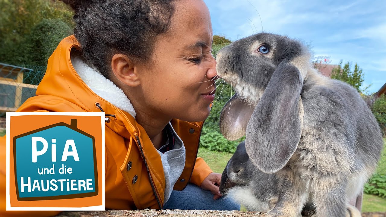 Widderkaninchen | Information f&uuml;r Kinder | Pia und die Haustiere