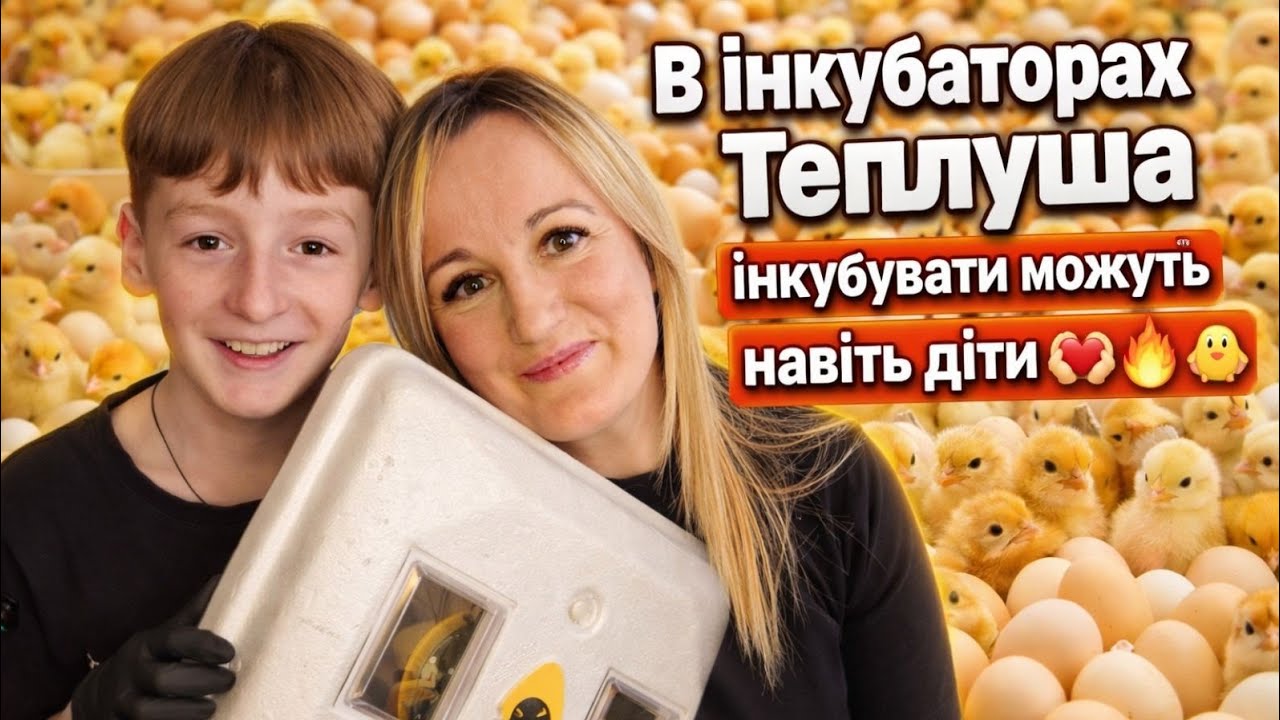Інкубація для початківців: День 1 — разом з дитиною закладаємо яйця