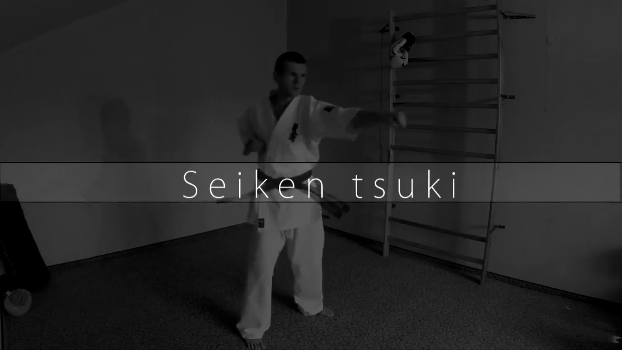 Seiken Tsuki - Kyokushin Orange Belt 10th kyu punch