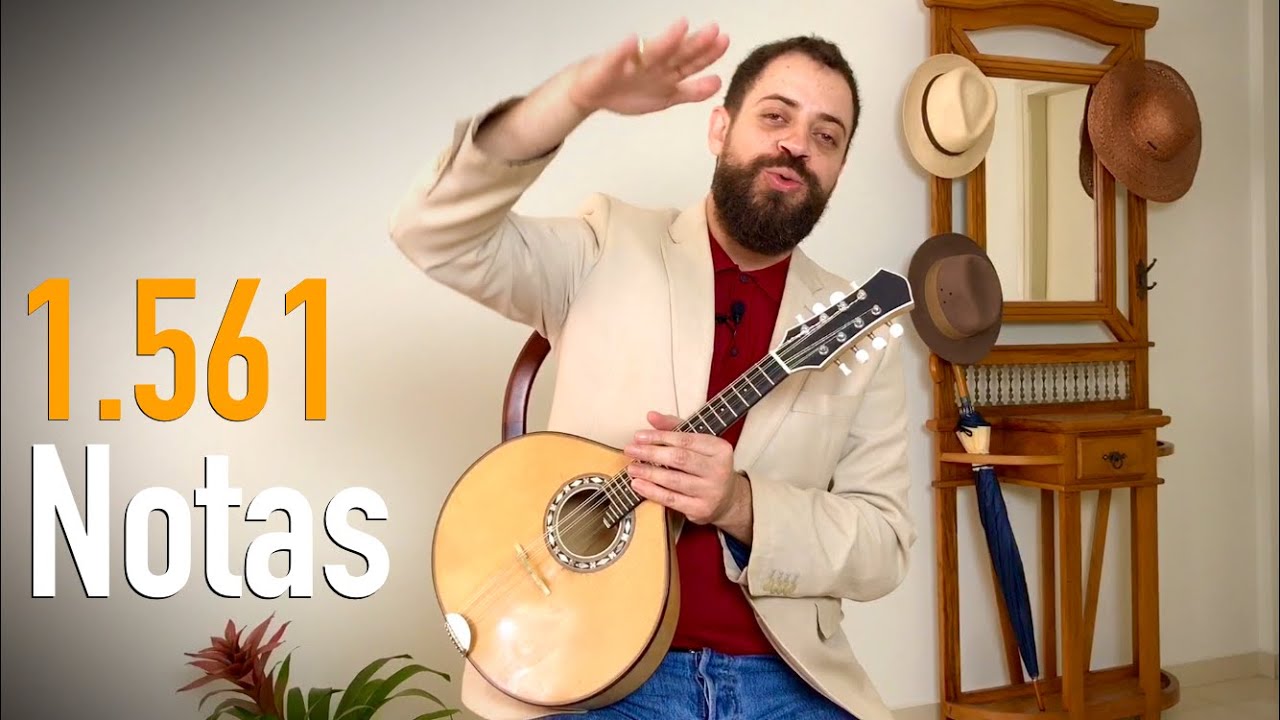 O VOO DA MOSCA + DICAS para músicos e ouvintes