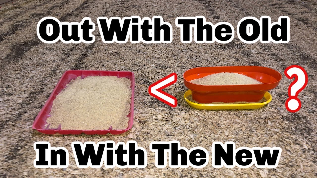 Out With The Old, In With The New! ⎪Feed Trays to Turbo Feeders!